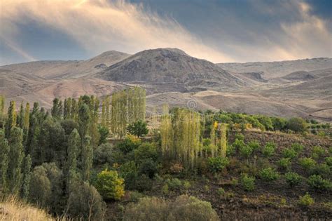  Cultivating Anatolian Landscapes: A Bountiful Exploration of Tradition and Change